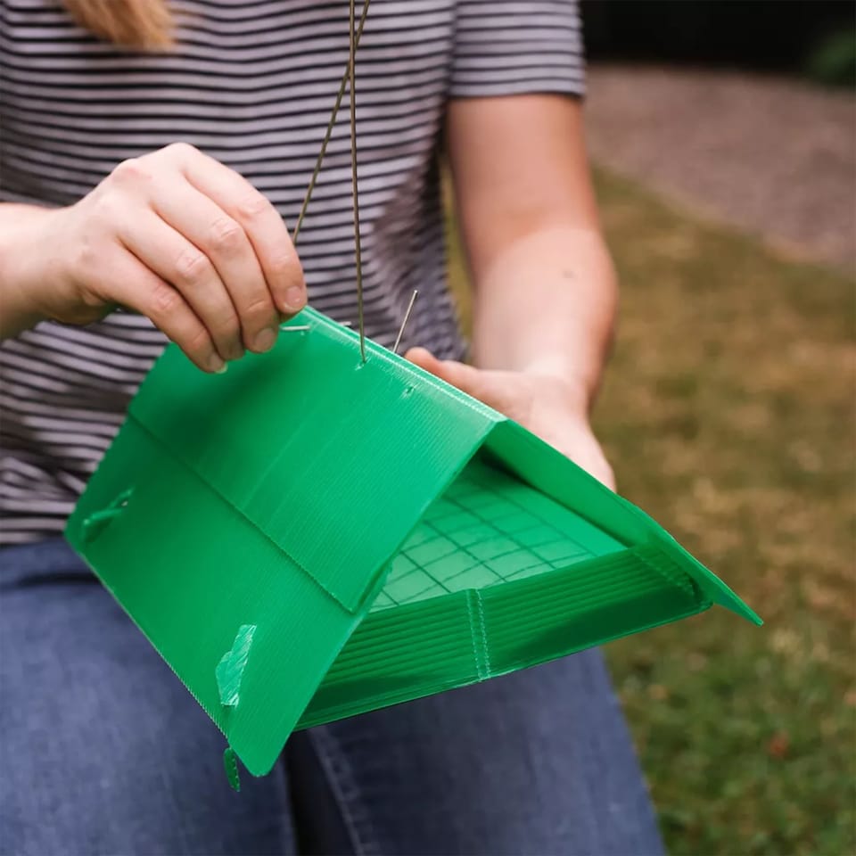 image 1 of Growing Success Apple Maggot Monitoring Trap | Multi | Trap | 1