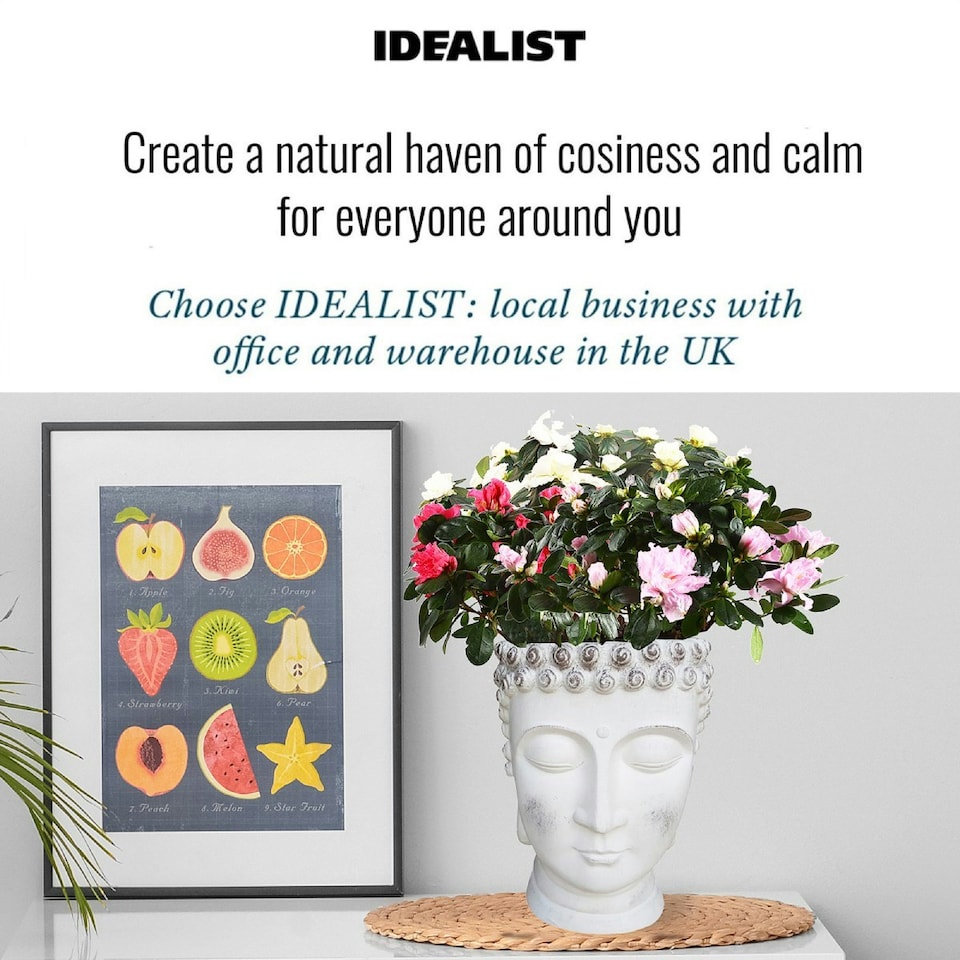 image 1 of White Oval Face Planter Head Buddha Plant Pot Indoor Pot Cover L19 W18 H24 cm, 2.6 ltrs Cap.