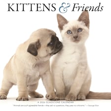 Kittens Friends Square Wall Sunday Start