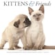 image 1 of Kittens Friends Square Wall Sunday Start