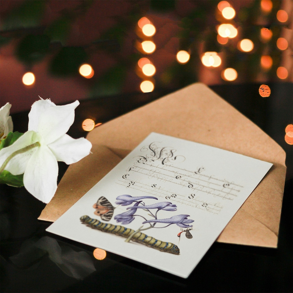image 1 of Model Book of Calligraphy Art Card Butterfly Caterpillar and Flower