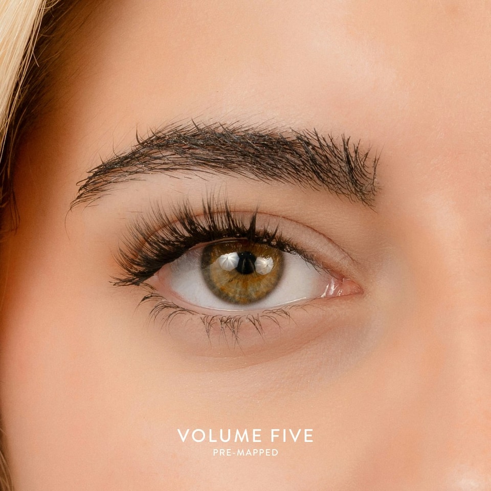 image 1 of House Of Amor - Eyelash Extensions - Volume 5 - Pre Mapped Multipack -