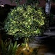image 4 of Solar Powered 200 LED Warm White Firefly String Lights | Clear | 1