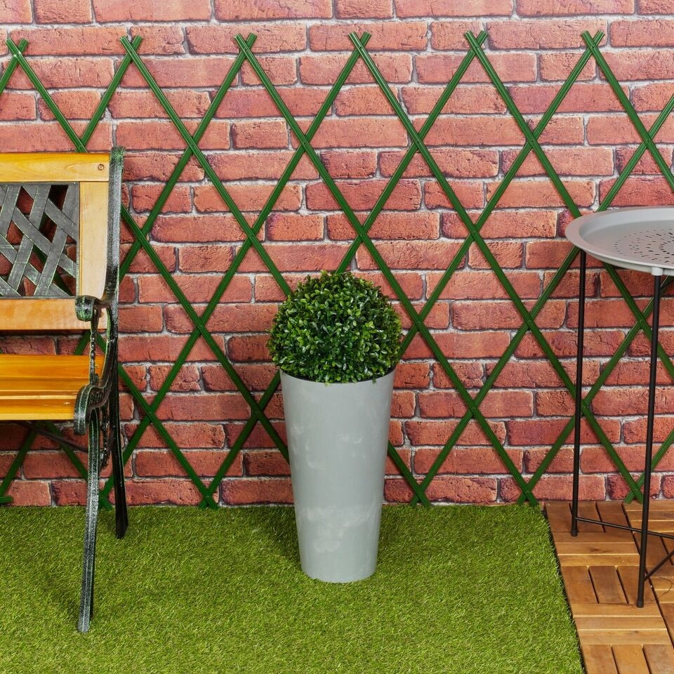 image 1 of Tubus Plant Pot with Boxwood Ball Plant and Insert - 38.1x 20x20cm | Grey | Light Grey & Set of 1 | 1