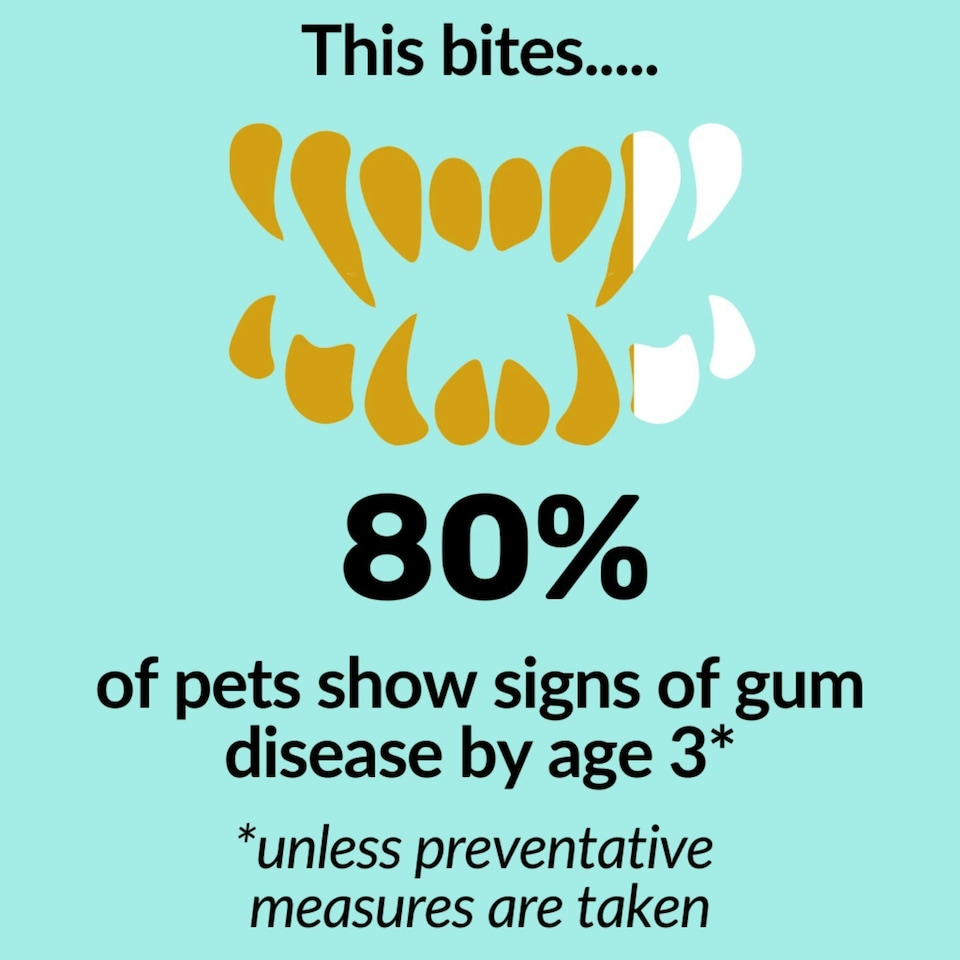image 1 of Dental Formula Water Additive