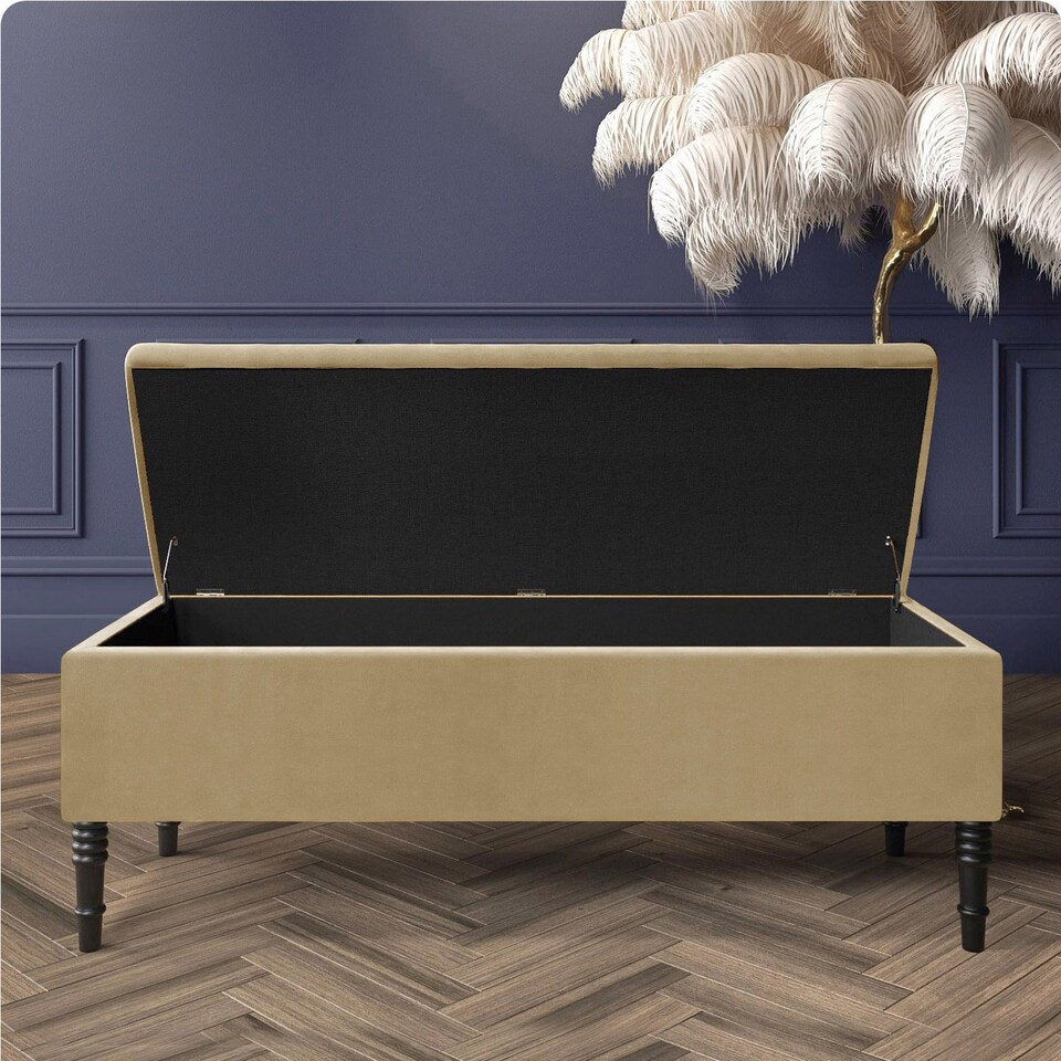 image 1 of Paris Plain 90cm Ottoman Storage Bench - Plush Velvet Shoe Bench - Mink Upholstery Footstool with Storage