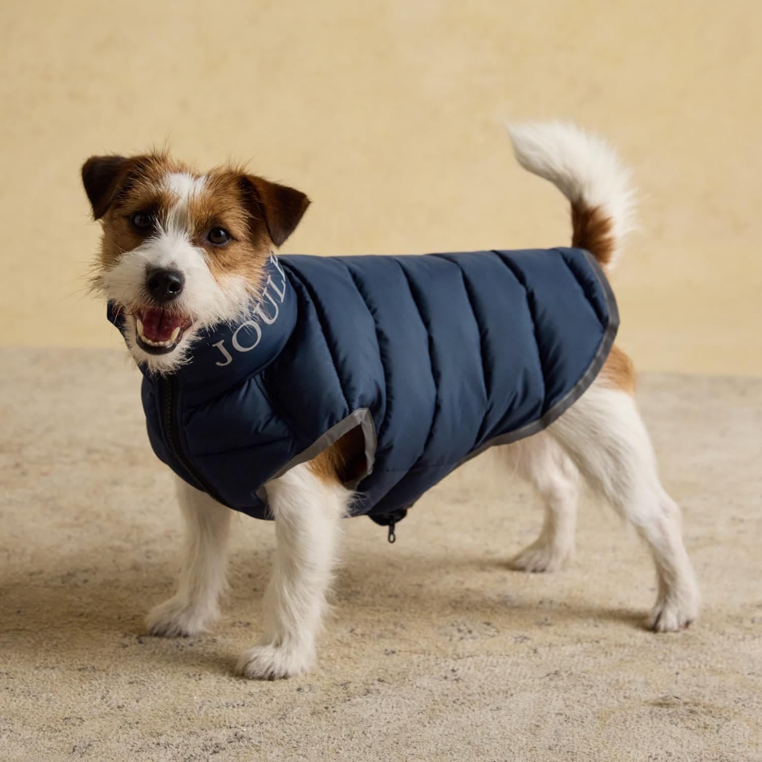 Rosewood x Joules Moorsdale Navy Reversible Puffer Dog Coat Blue L 1