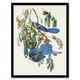 image 1 of Florida Jay and Persimmon Tree Audubon Nature Framed Wall Art Print 12X16"