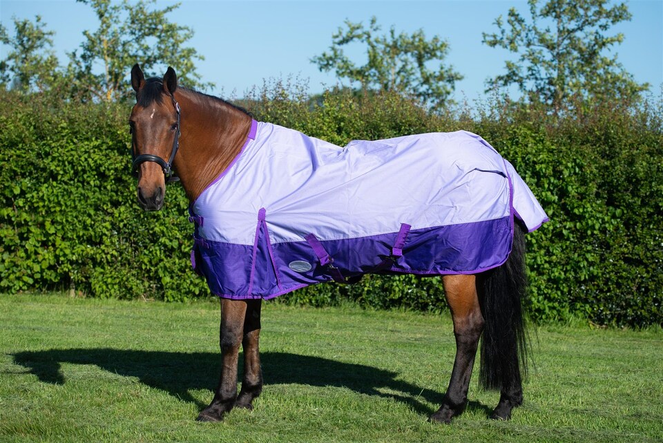 image 1 of eQuitack 600D Waterproof Horse Turnout Rug 0g No Fill Regular Neck Lavender/Purple 6'6''
