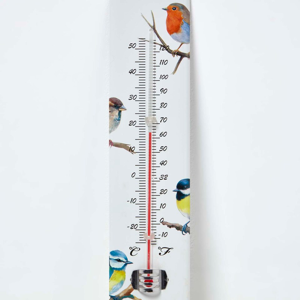 image 1 of Homescapes Outdoor Thermometer with Bird Design