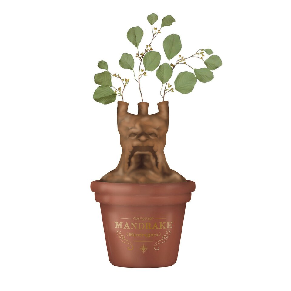 image 1 of Harry Potter Table Top Vase - Mandrake