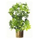 image 2 of Modern Metal Planter Gold 18cm Polished Shiny Finish Golden Colour | Gold