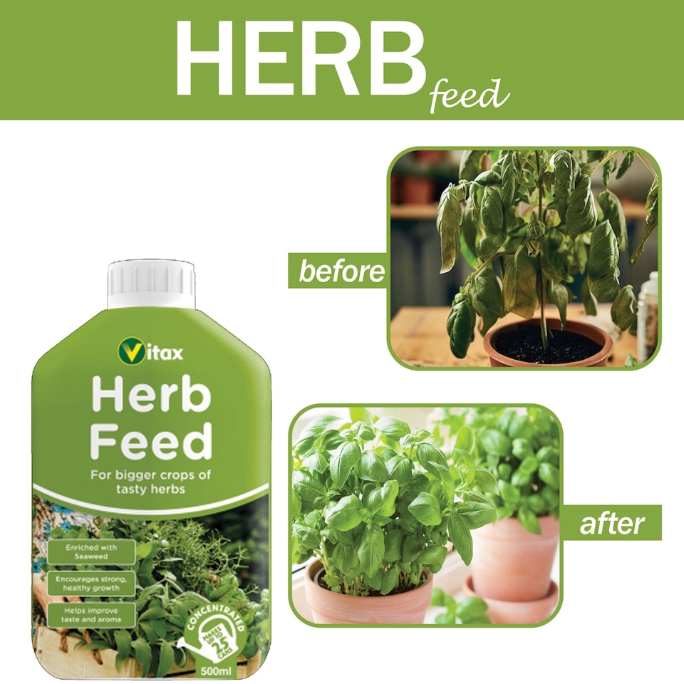 image 1 of Vitax Liquid Herb Feed 500ml Fast-Acting Seaweed Enriched Nutrient Formula for Bigger Healthier Flavourful Herbs