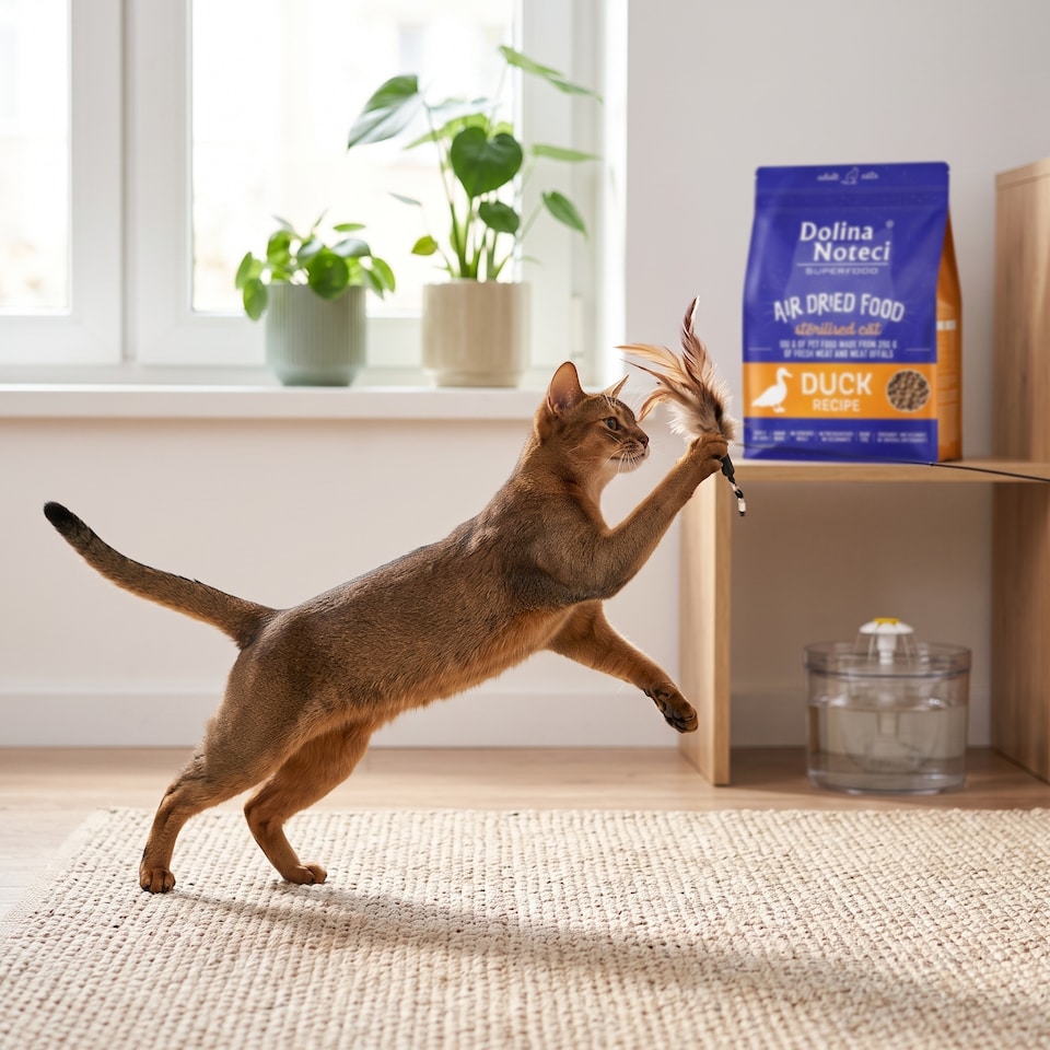 image 1 of Dolina Noteci Superfood Duck Recipe Premium Dried Cat Food for Adult and Sterilised Cats 1kg Rich in Natural Healthy Nutrients x4