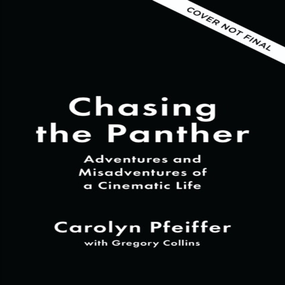 Chasing The Panther