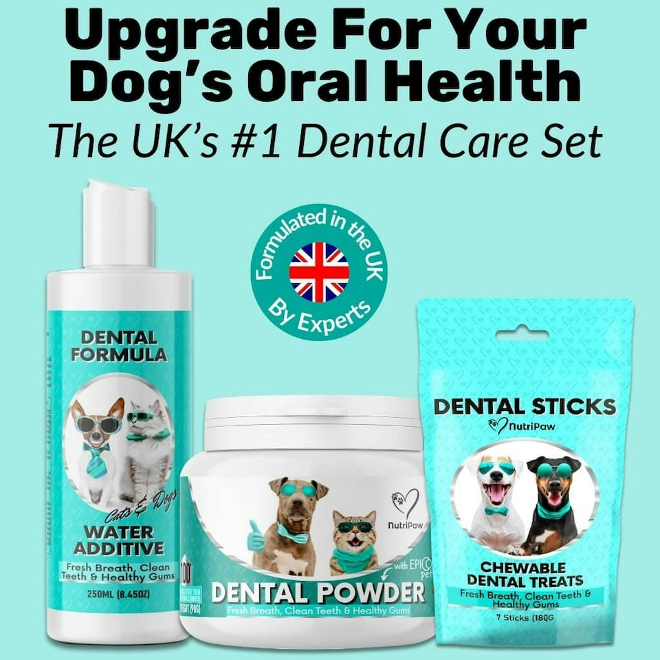 image 1 of Dental Sticks N/A