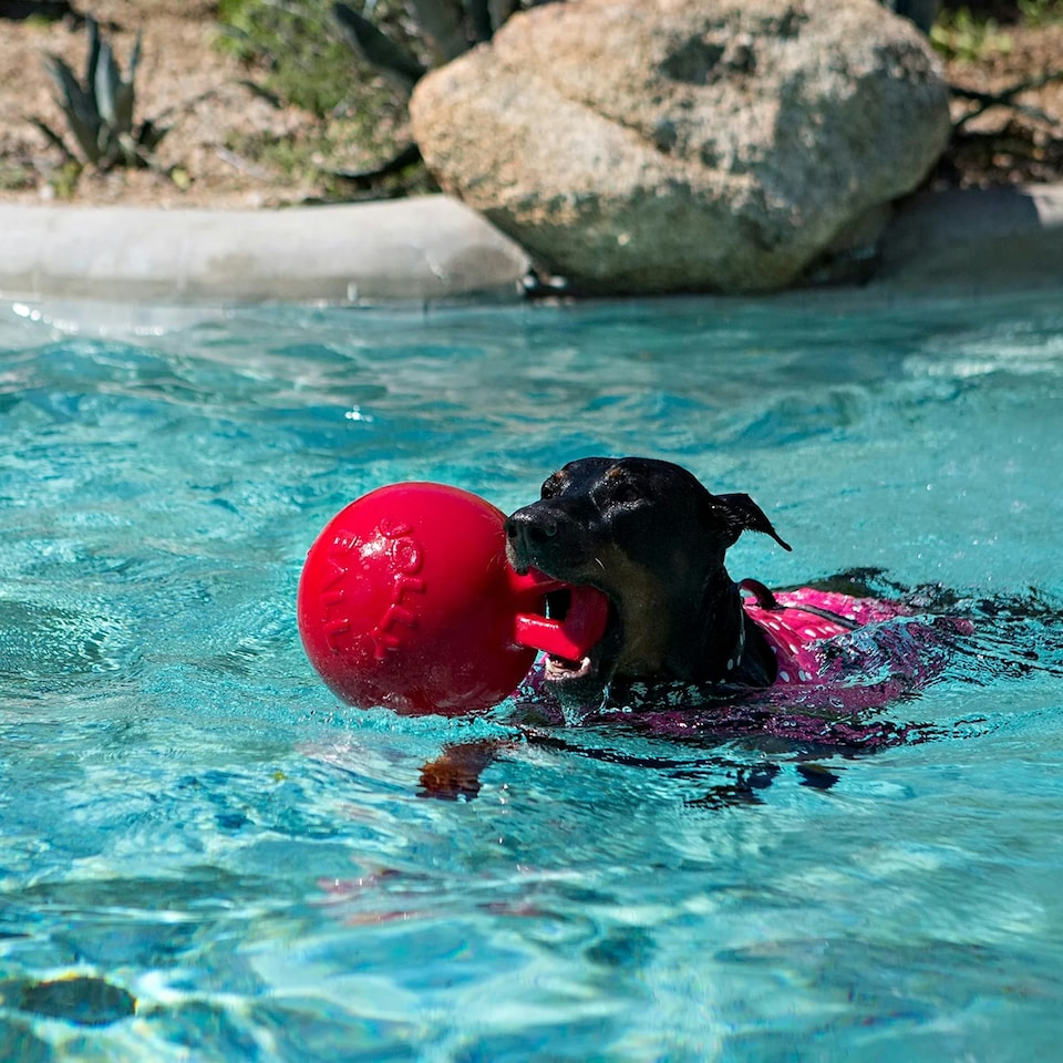 image 1 of Jolly Pets Tug-N-Toss Dog Toy - Red - 4.5