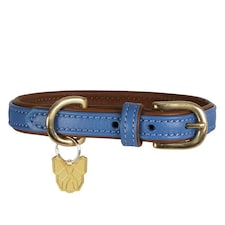Digby & Fox Leather Padded Dog Collar - Royal Blue - S - Neckline: 35cm-40cm