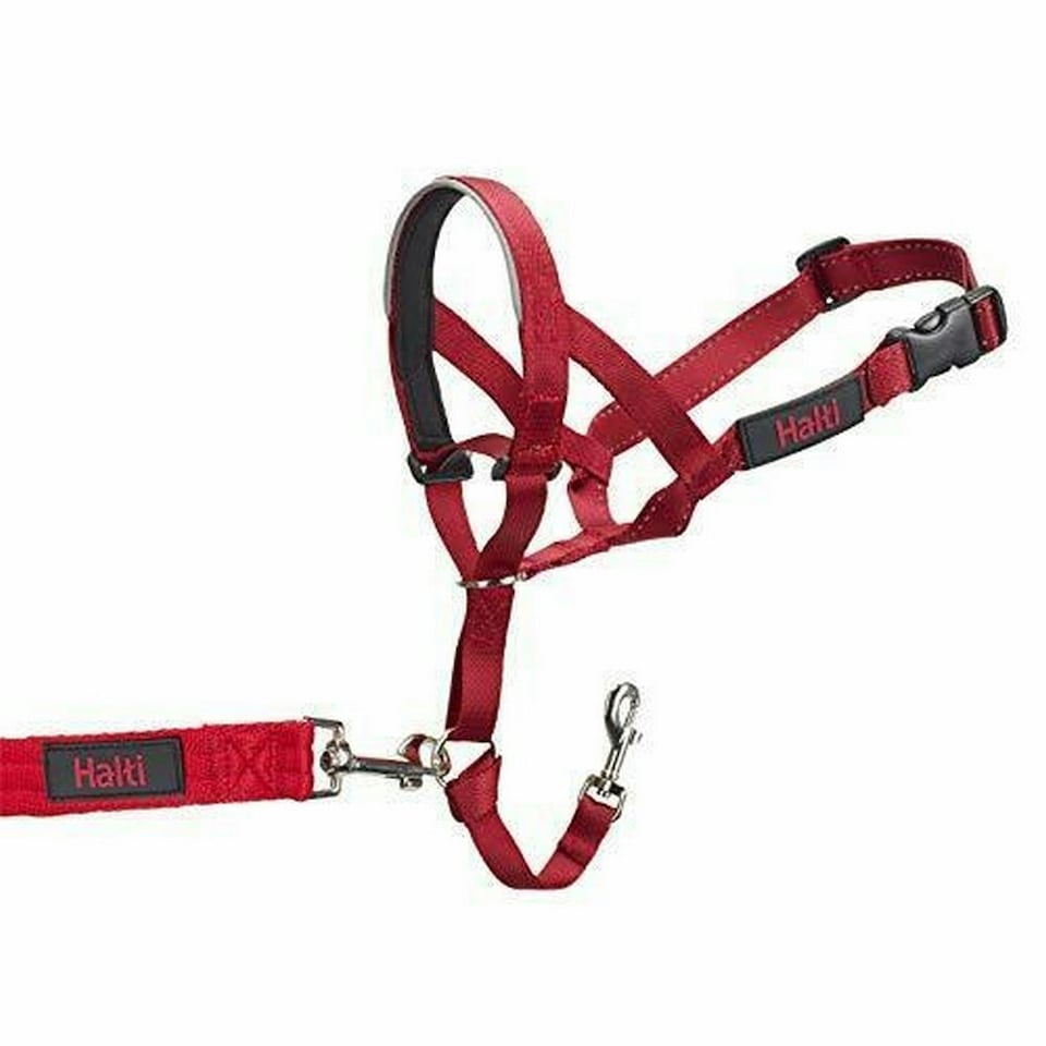 image 1 of Halti Dog Head Collar - Red - 4