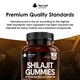 image 5 of Shilajit Gummies with Zinc & B6 Vegan Berry Flavour