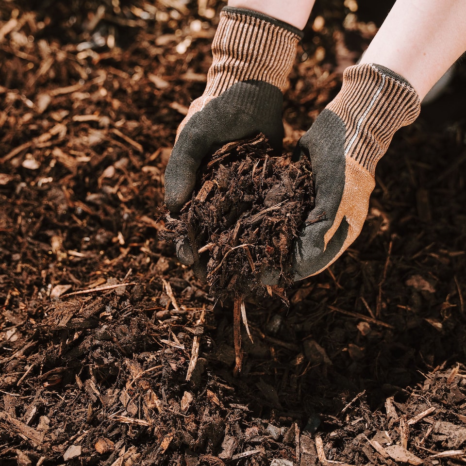 image 1 of Westland Decorative Mini Bark For Borders 70L | Brown | Brown | 70L | 1