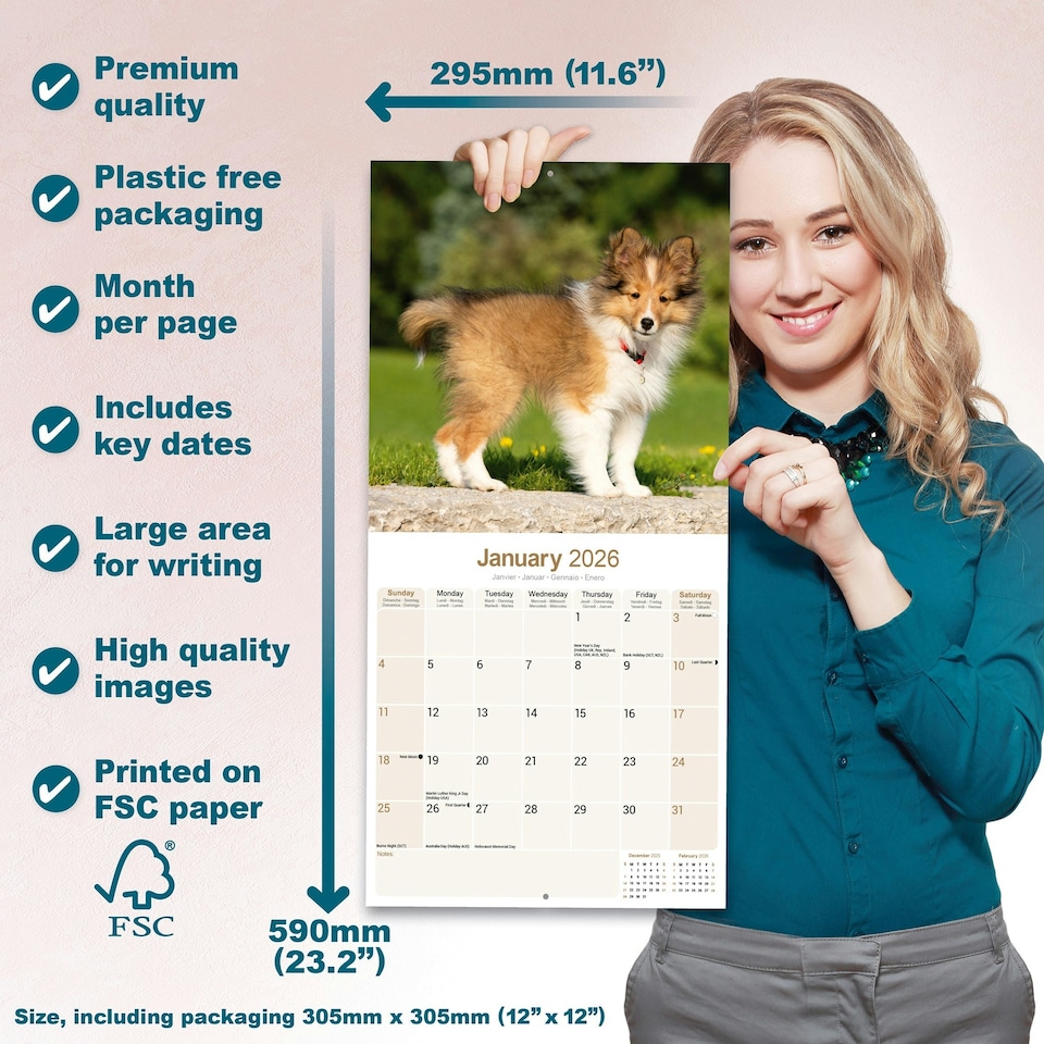 image 1 of Shetland Sheepdog 2026 Calendar | Square Wall Calendar | Dog Breed Gift | Plastic Free Packaging | by Avonside Publishing