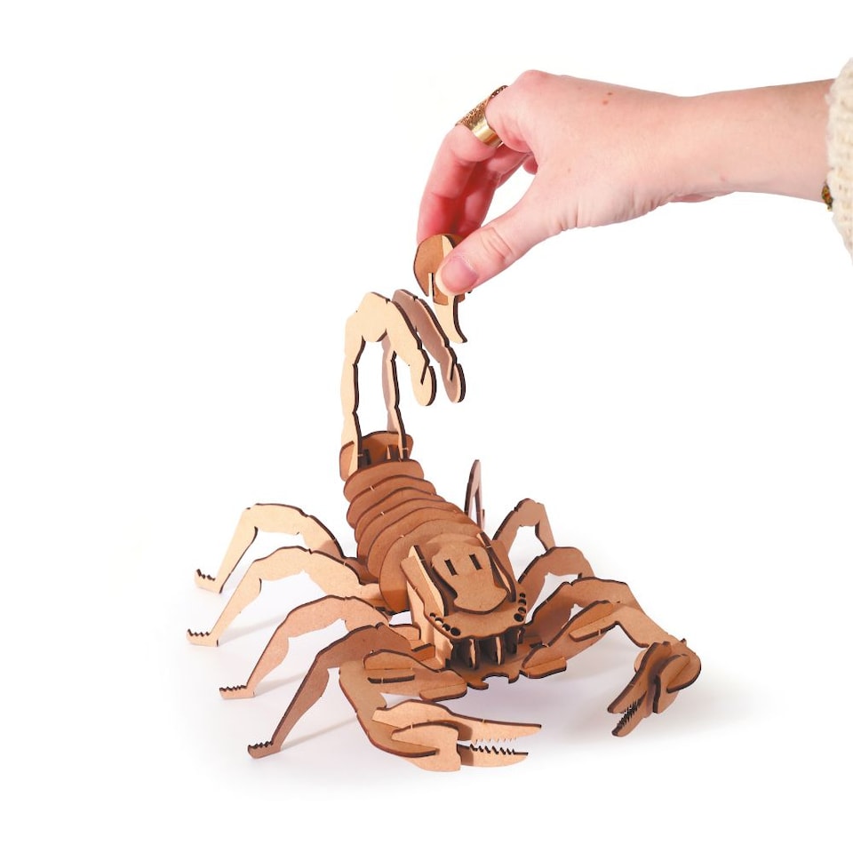 image 1 of 3D Wooden Model Kit Scorpion - Craft Gifts for 8 yrs