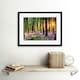 image 2 of Bluebell Wood Sunrise Tree Living Room Home Decor 12x16" Framed Wall Art Print