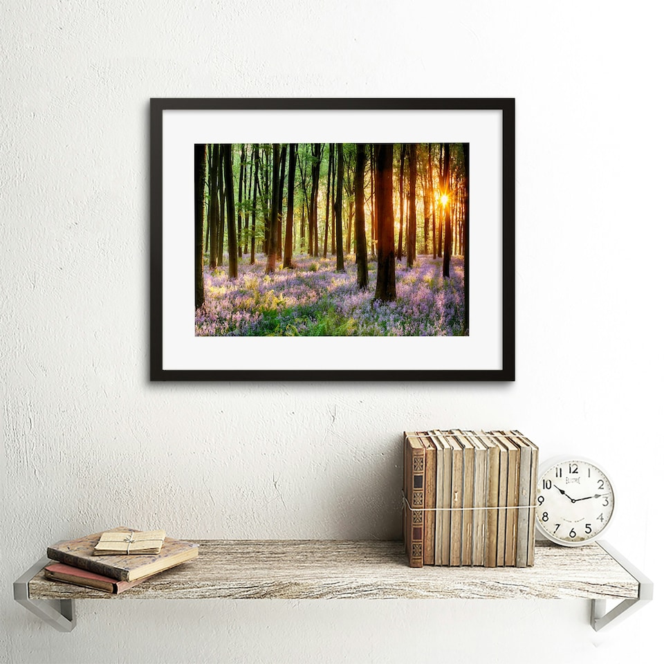 image 1 of Bluebell Wood Sunrise Tree Living Room Home Decor 12x16" Framed Wall Art Print