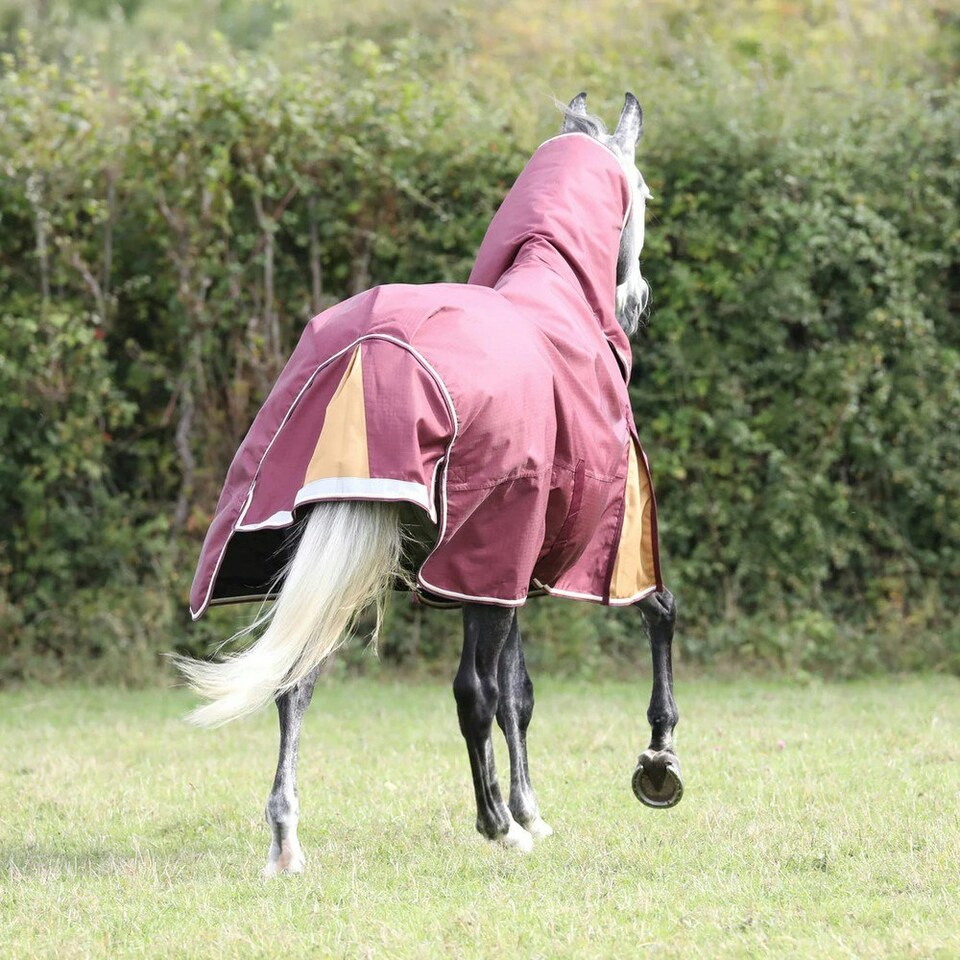 image 1 of Highlander Plus Combo Neck 100g Horse Turnout Rug - Maroon - 6´ 9"