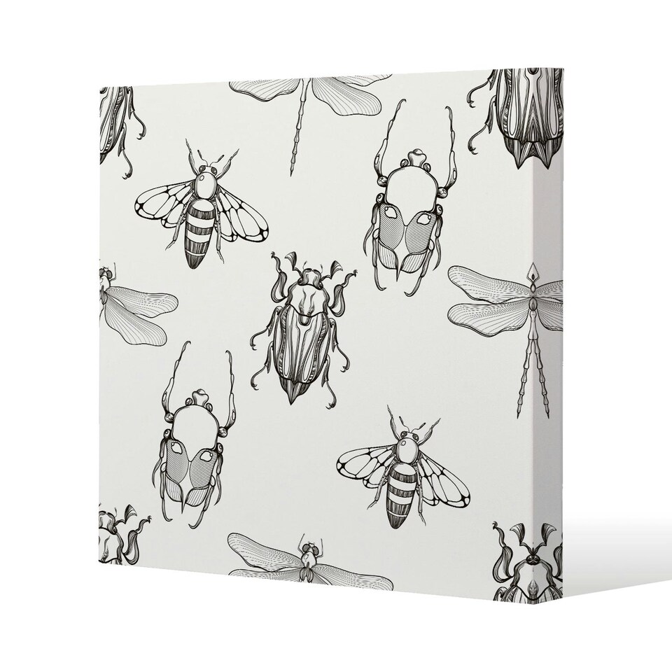 image 1 of Sketch of Scarab Beetle, May bug, Bee and Dragonfly (Canvas Print) 46 x 46 x 4cm