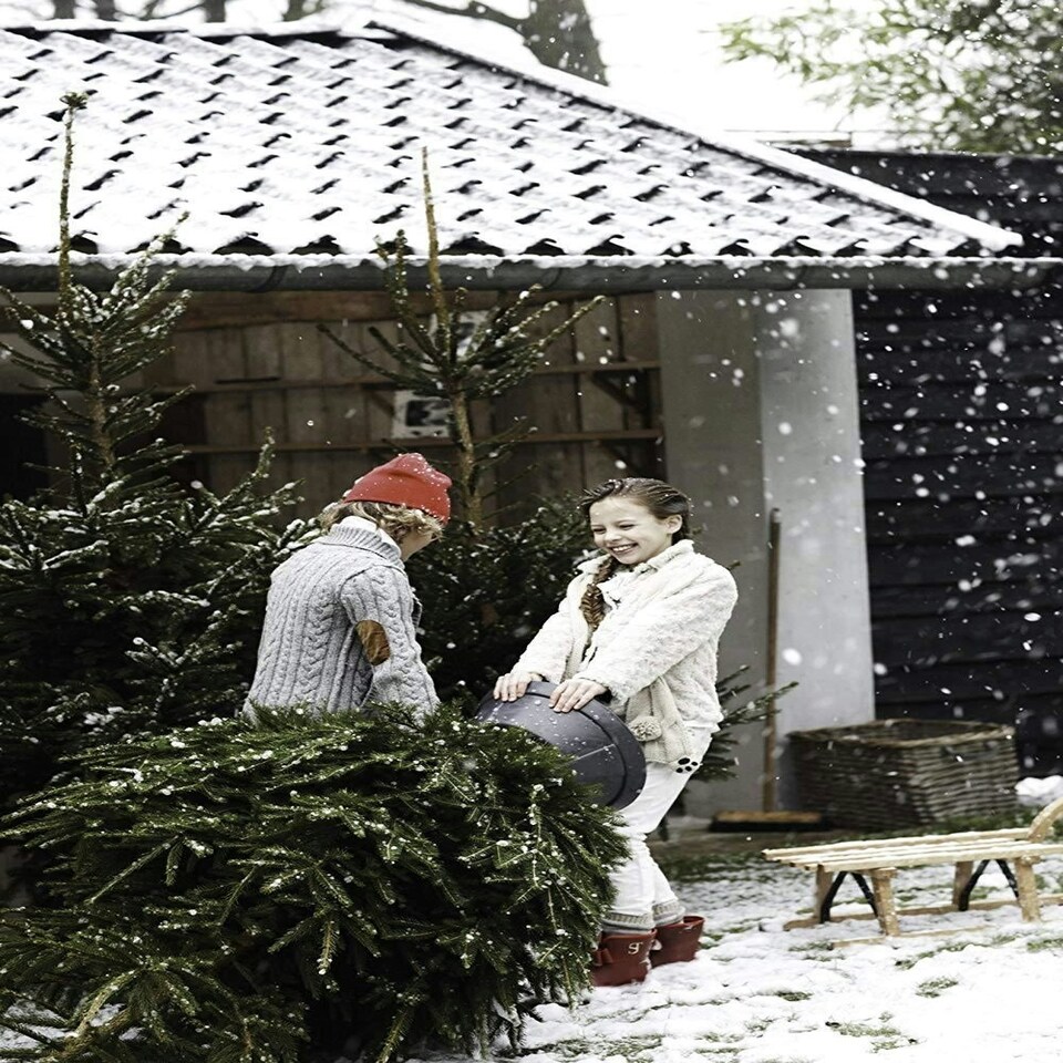 image 1 of Elho Nordman Anthracite Grey Christmas Tree Stand for Real Trees up to 10ft Tall