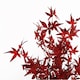 image 3 of Artificial Red Maple Tree 120cm | Red | 4ft