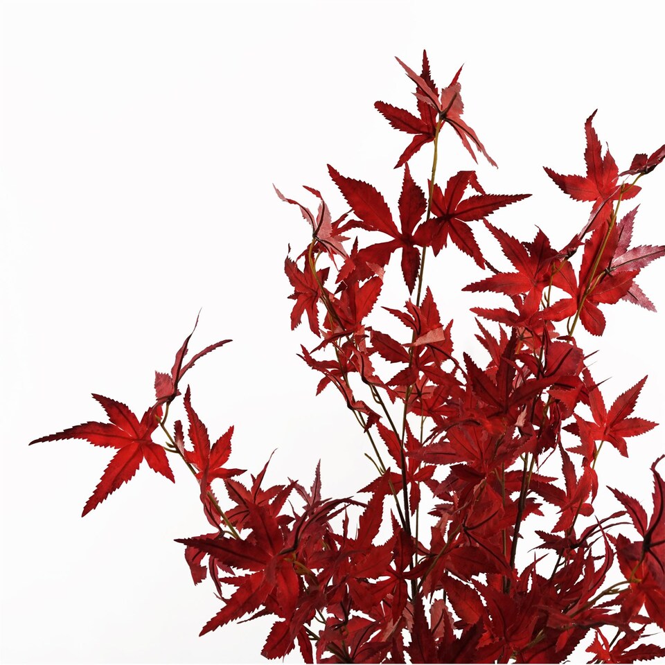 image 1 of Artificial Red Maple Tree 120cm | Red | 4ft