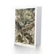 image 2 of Ernst Haeckel Art Card Lacertilia Reptile Lizard Species