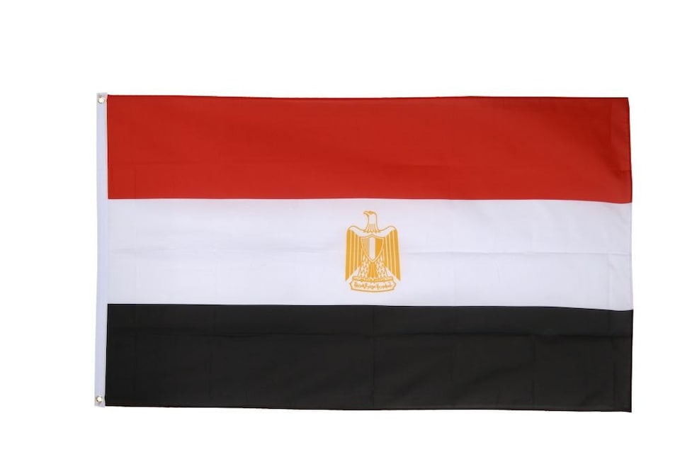 image 1 of Egypt Flag 5x3ft With Eyelets | Multi