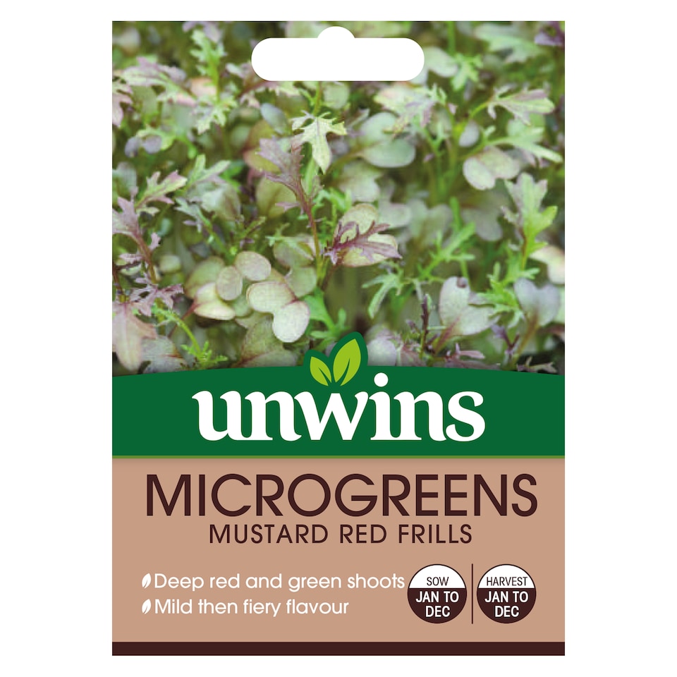 image 1 of MicroGreens Mustard Red Frills | Multi | Green, Red, Purple | Seeds