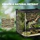 image 4 of PawHut 24L Glass Terrarium, Reptile Vivarium with Stone Background, Black