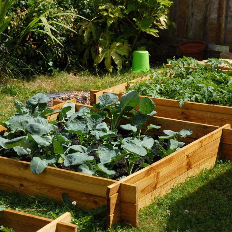 image 1 of 200L Chamberlain Garden Wooden Raised Grow Bed  100cm x 100cm