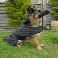Rhinegold Balmoral Dog Coat Black | XXL