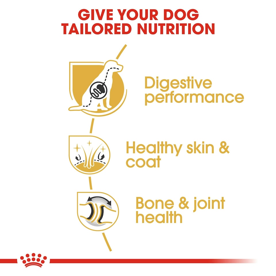 image 1 of ROYAL CANIN® German Shepherd Adult Dry Dog Food N/A | 11kg