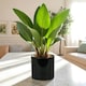image 2 of Modern Glossy Black Ceramic Indoor Planter, Cachepot (H17 x W17.5cm) Black
