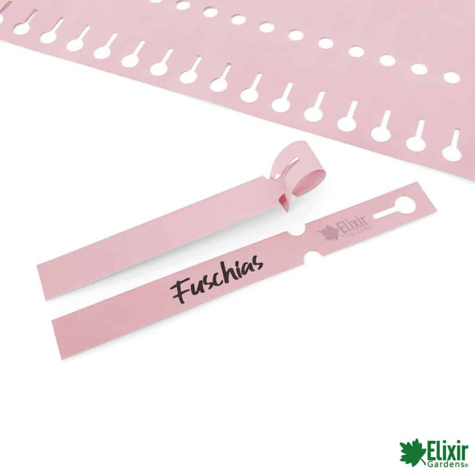 image 1 of Elixir Gardens Loop Lock Plant Label | PINK | 220mm x 25mm (x 100)