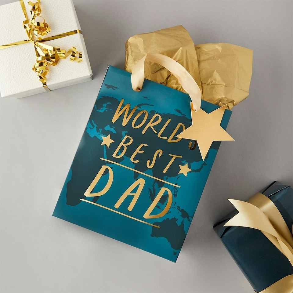 image 1 of World's Best Dad Gift Bag - Pack of 1