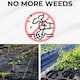 image 5 of Weed Control Membrane Barrier Fabric - 100gsm Heavy Duty - 3m x 100m | Black | 3M x 100M | 1