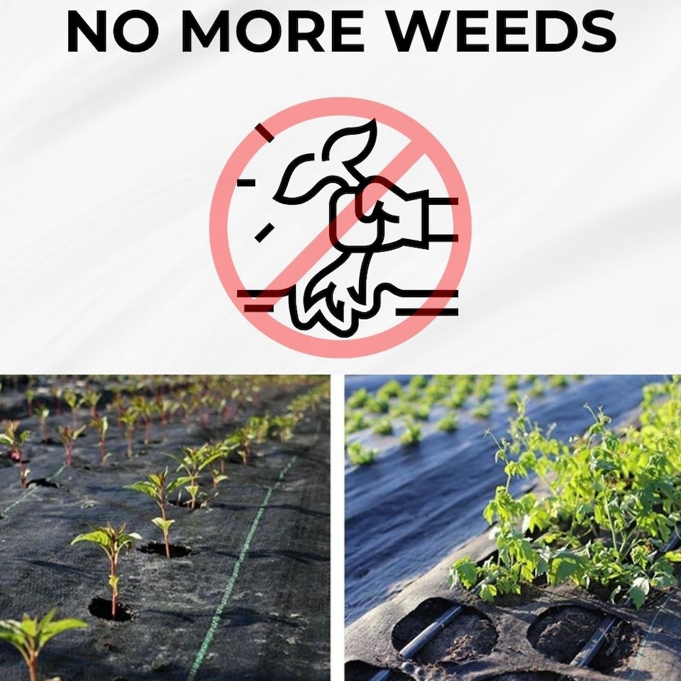 image 1 of Weed Control Membrane Barrier Fabric - 100gsm Heavy Duty - 3m x 100m | Black | 3M x 100M | 1