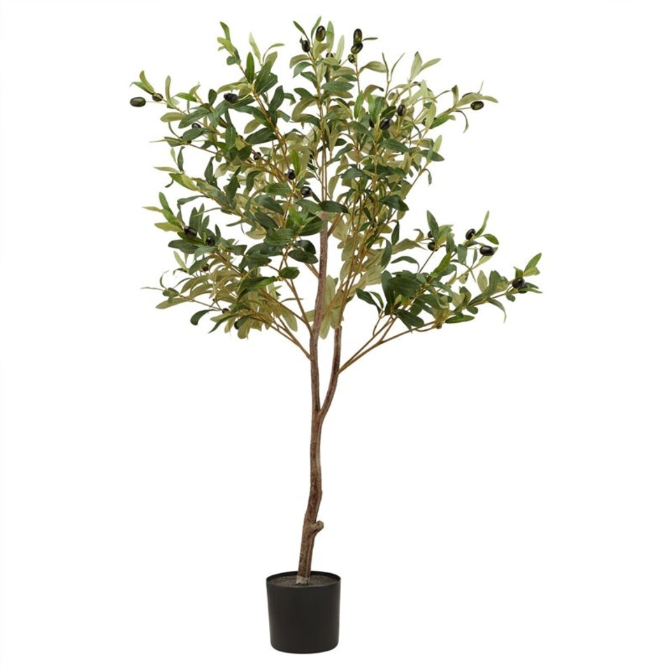 image 1 of Calabria Small Olive Tree - Plastic - L17 x W17 x H100 cm - Green