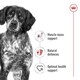 image 5 of Royal Canin Medium Dry Adult Dog Food 3kg