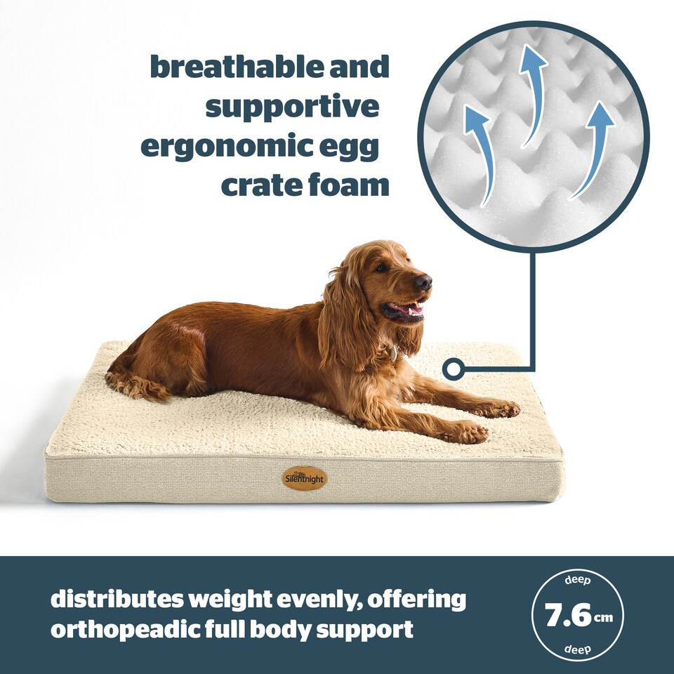 image 1 of Silentnight Firm Support Crate Mattress Pet Bed