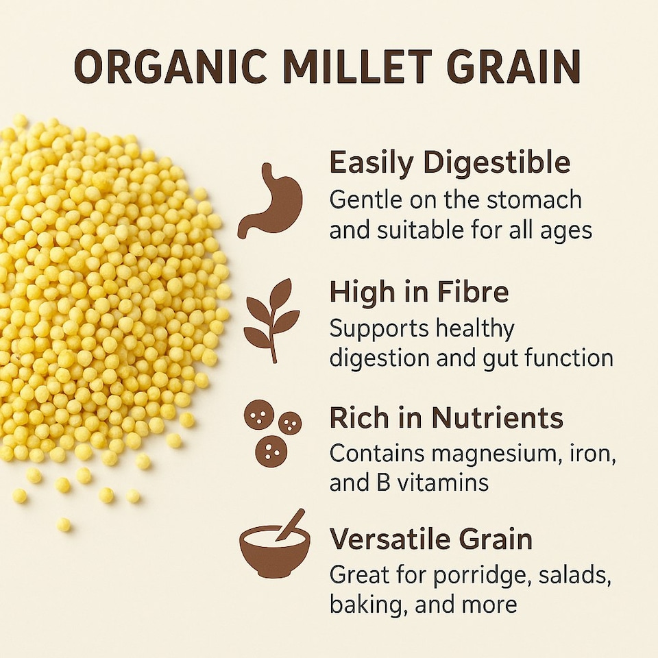 image 1 of Organic Millet Grain 500g (Sussex Wholefoods)